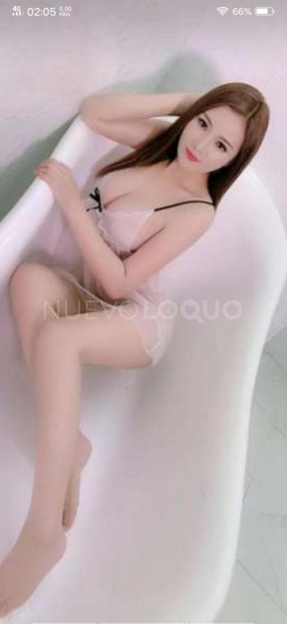 NuevoLoquo4