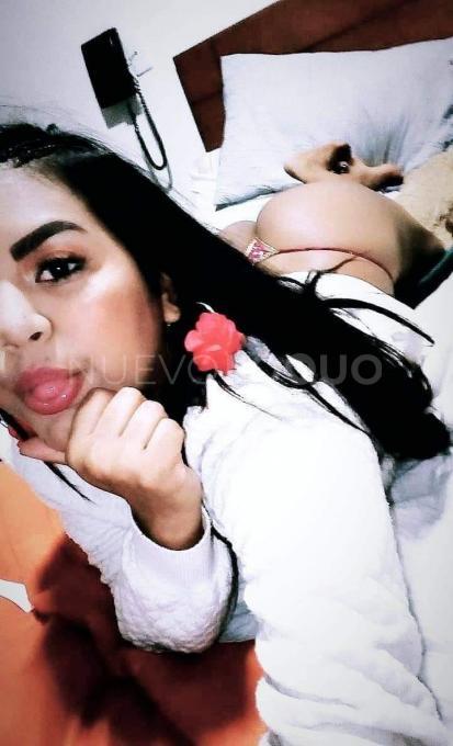 NuevoLoquo1