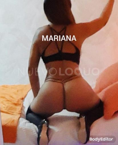 NuevoLoquo3