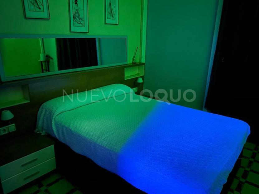 NuevoLoquo5