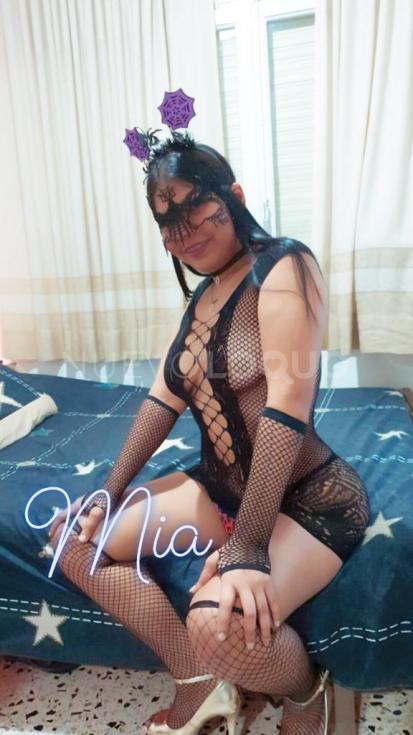 NuevoLoquo4