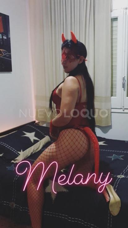 NuevoLoquo5