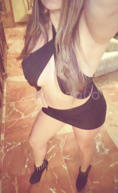 NuevoLoquo2