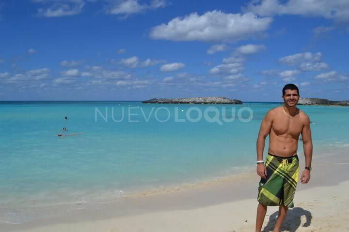 NuevoLoquo2