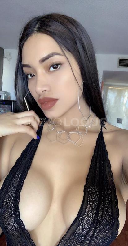 NuevoLoquo3