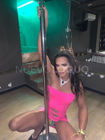 NuevoLoquo2