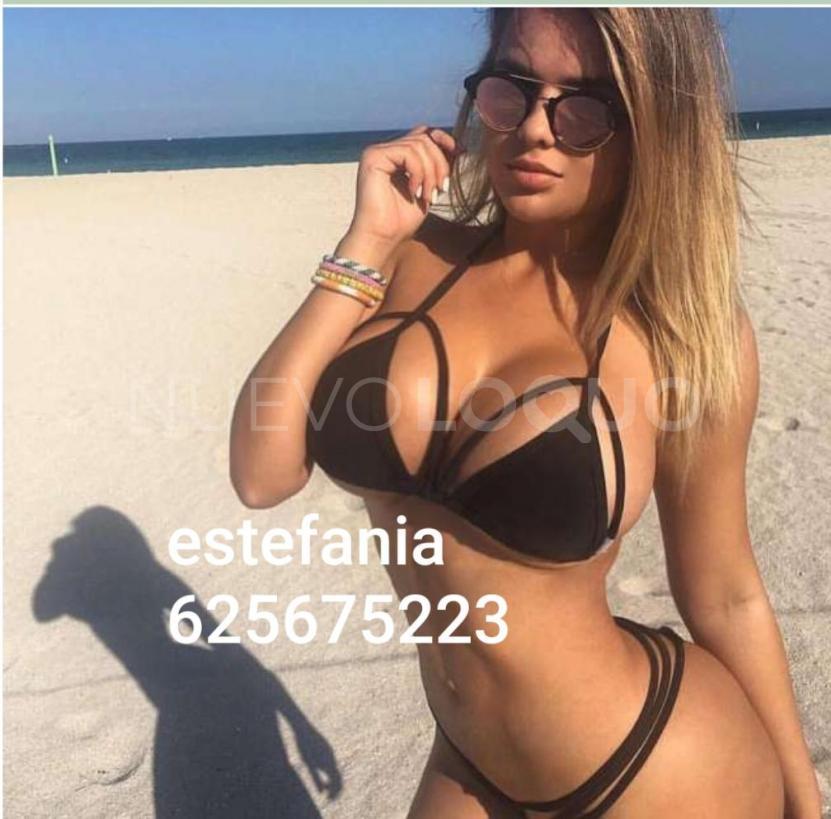 NuevoLoquo1
