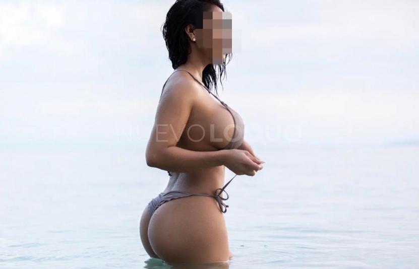 NuevoLoquo2