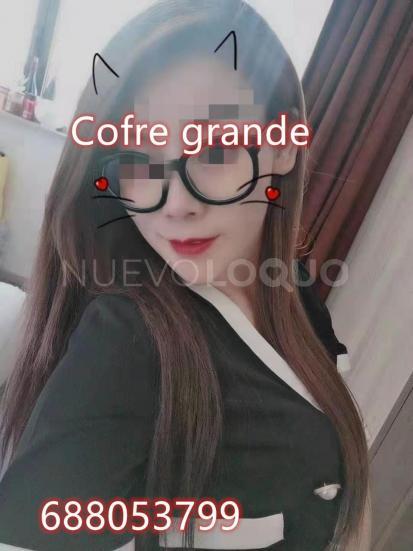 NuevoLoquo2