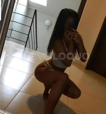 NuevoLoquo2