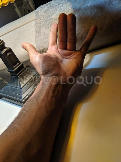 NuevoLoquo3
