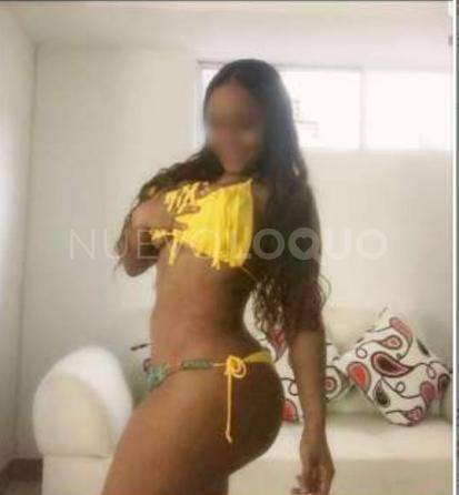 NuevoLoquo2