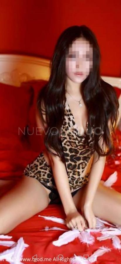 NuevoLoquo2