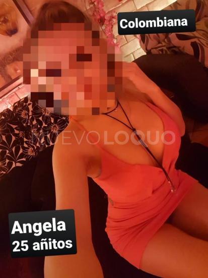 NuevoLoquo2
