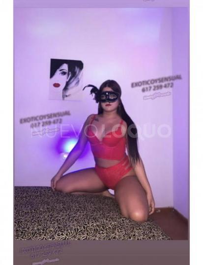 NuevoLoquo5