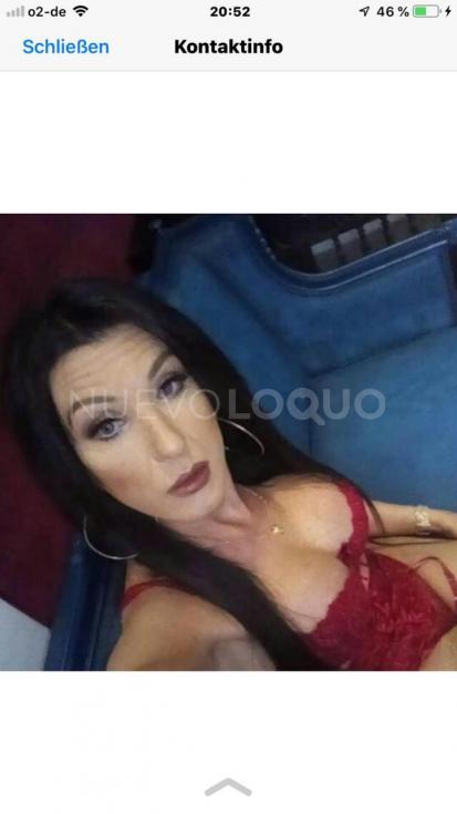 NuevoLoquo0