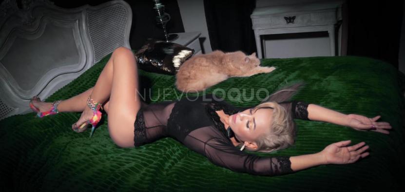 NuevoLoquo2