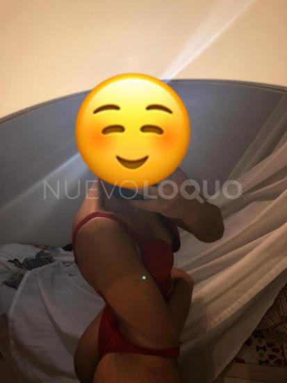 NuevoLoquo1