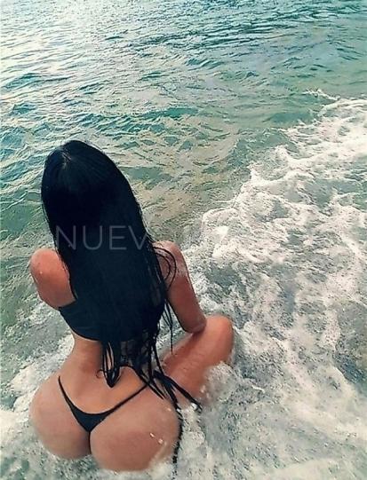 NuevoLoquo3