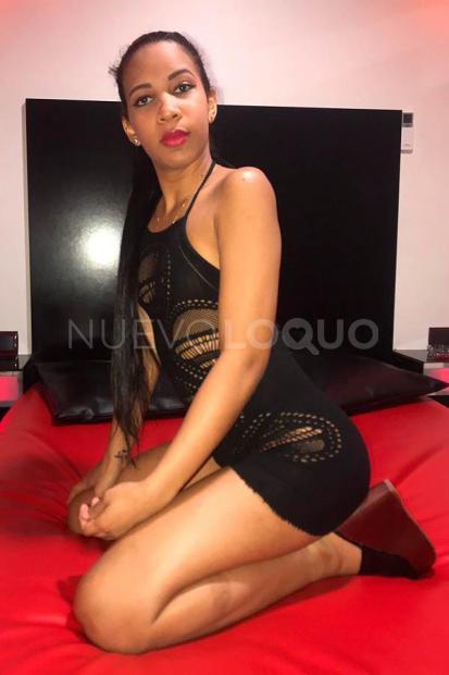 NuevoLoquo4