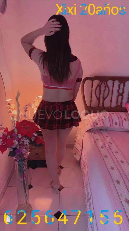 NuevoLoquo4
