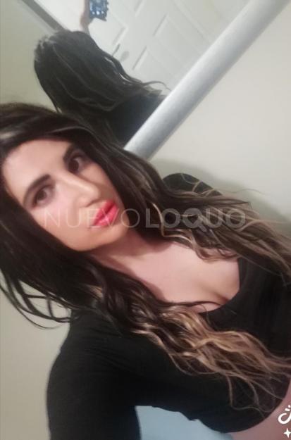 NuevoLoquo4