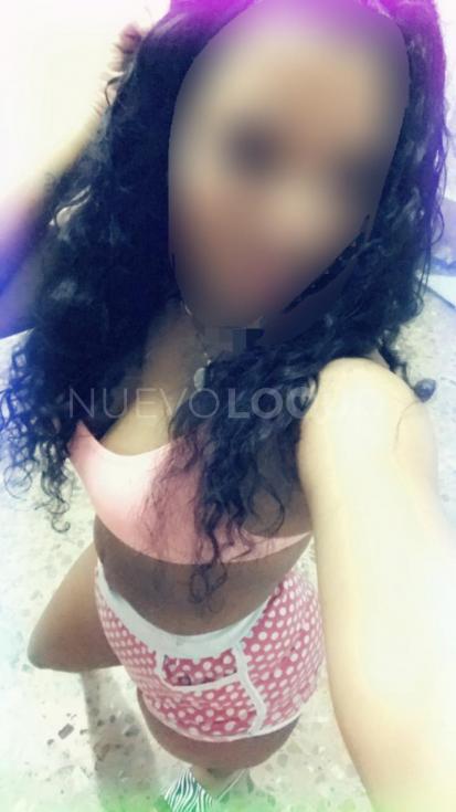 NuevoLoquo2