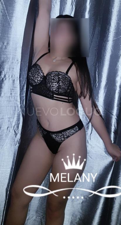 NuevoLoquo3