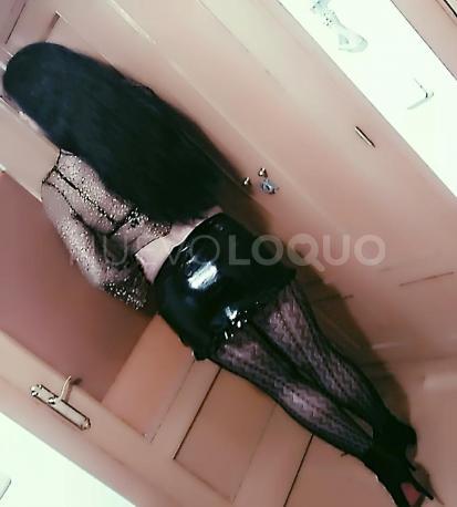 NuevoLoquo2