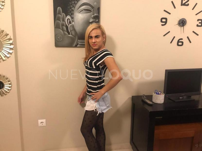 NuevoLoquo1