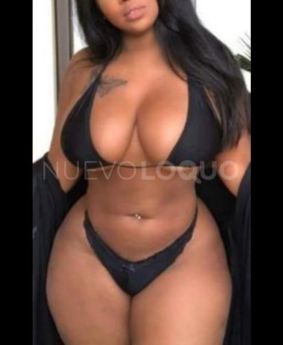 NuevoLoquo2