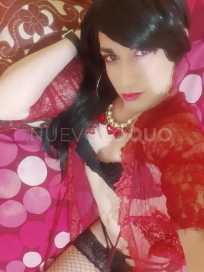 NuevoLoquo3