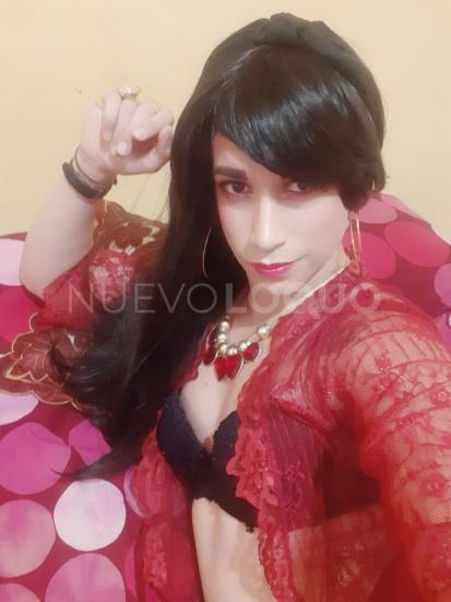 NuevoLoquo4