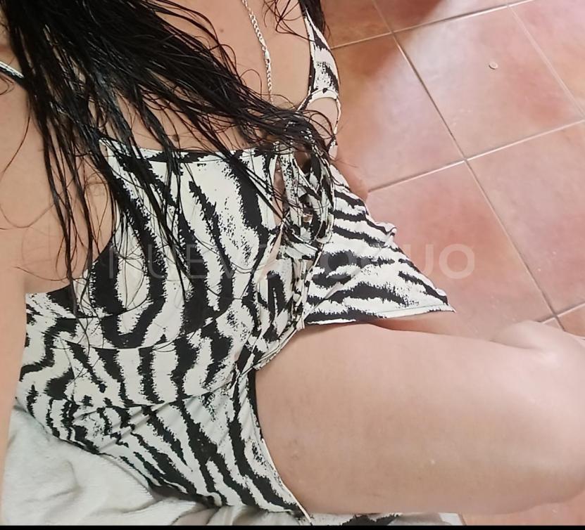 contactos pasion