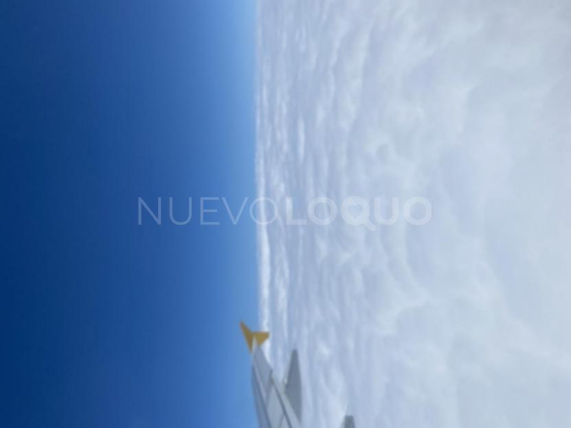 NuevoLoquo2