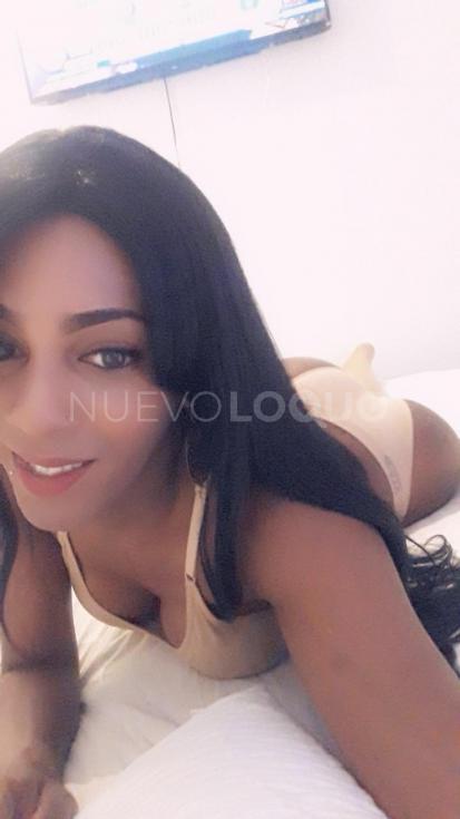NuevoLoquo1