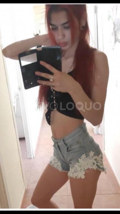 NuevoLoquo2