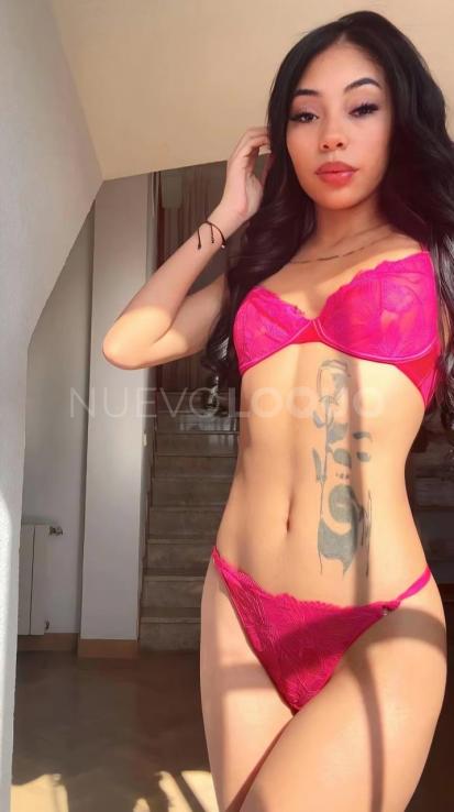 NuevoLoquo2