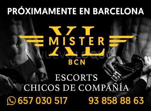  AGENCIA acompañante MASCULINO EN BARCELONA LAS H/H