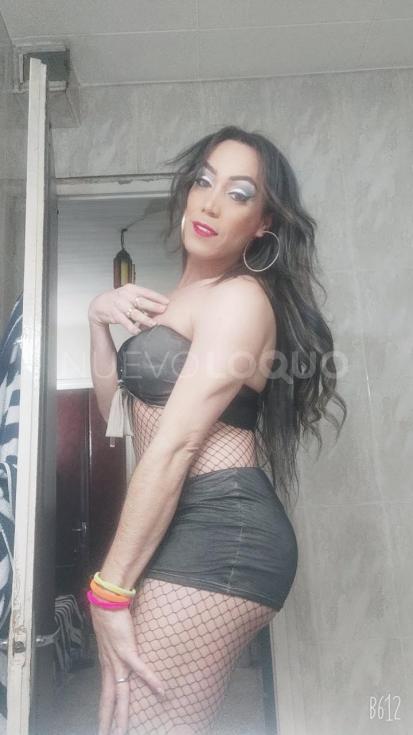 NuevoLoquo3