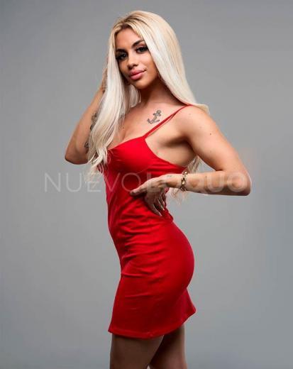 NuevoLoquo1