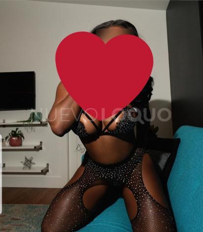 NuevoLoquo2