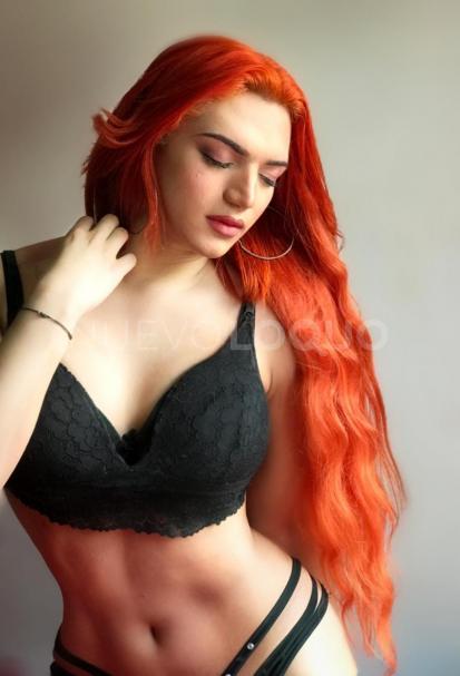 NuevoLoquo3