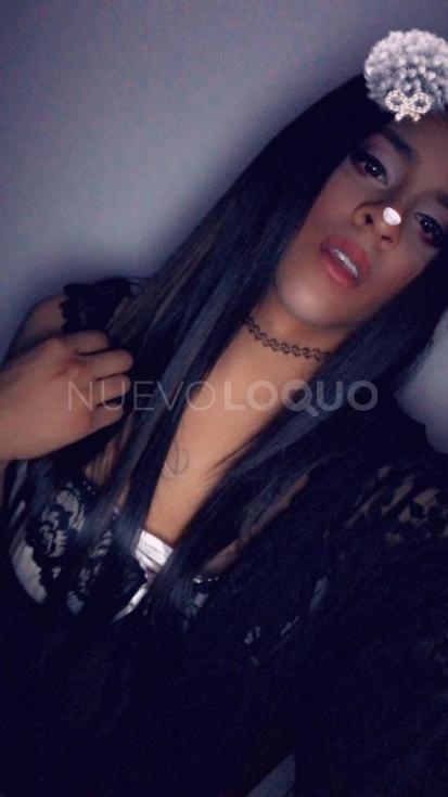 NuevoLoquo2