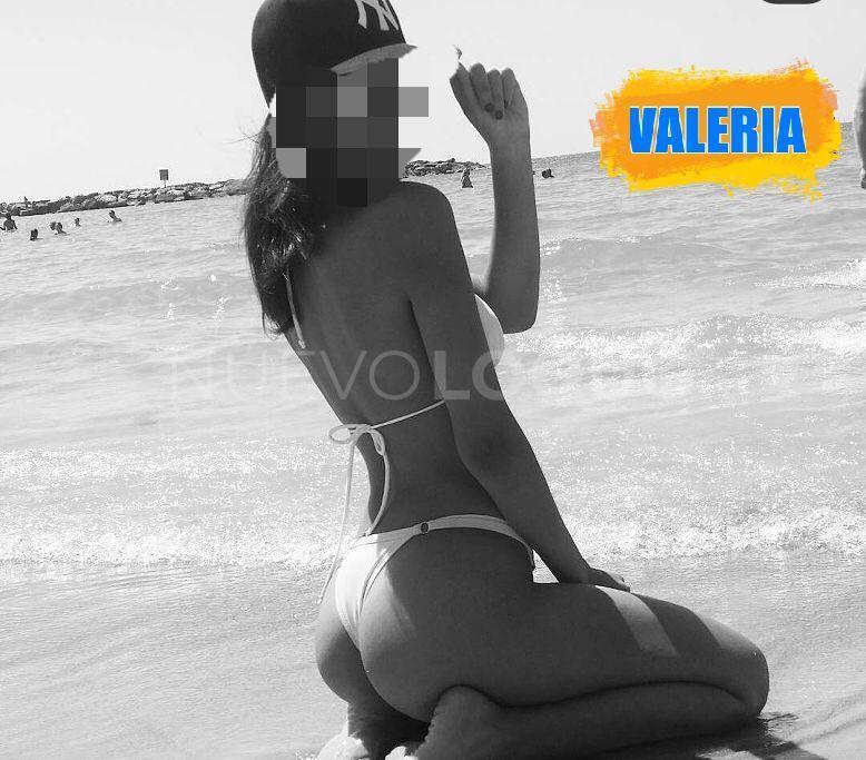 NuevoLoquo3