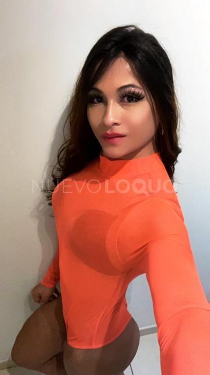 NuevoLoquo2
