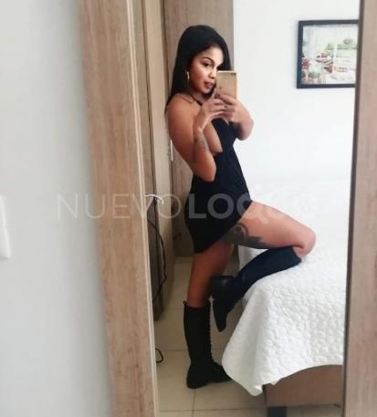 NuevoLoquo4
