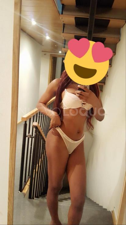 NuevoLoquo3