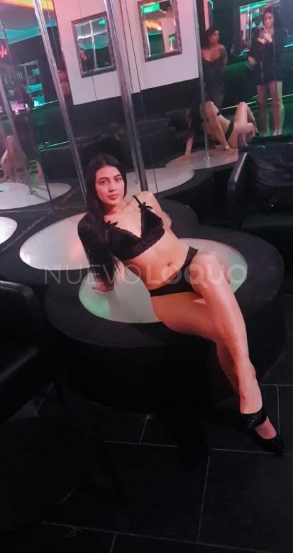 NuevoLoquo1