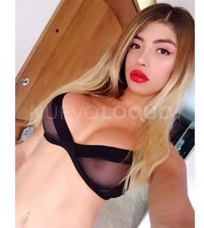 NuevoLoquo2